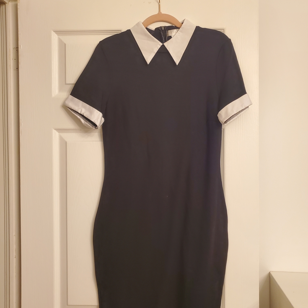Black Dress with White Faux Collar Trim